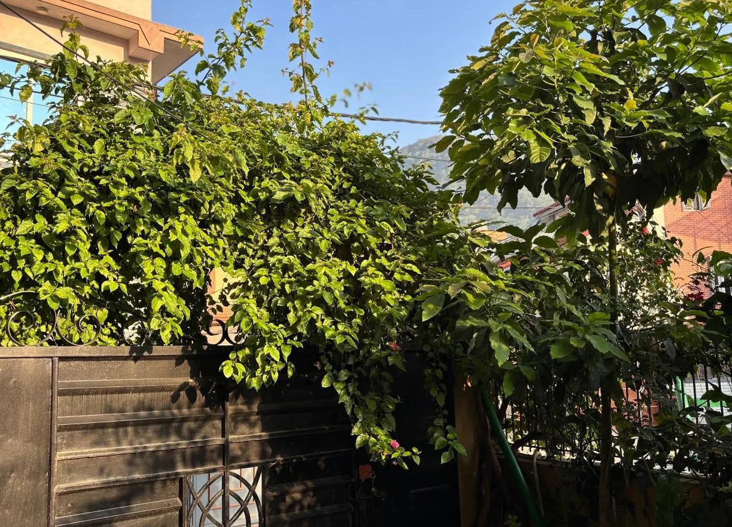 Mums Homestay & Studio Apartments Kathmandu
