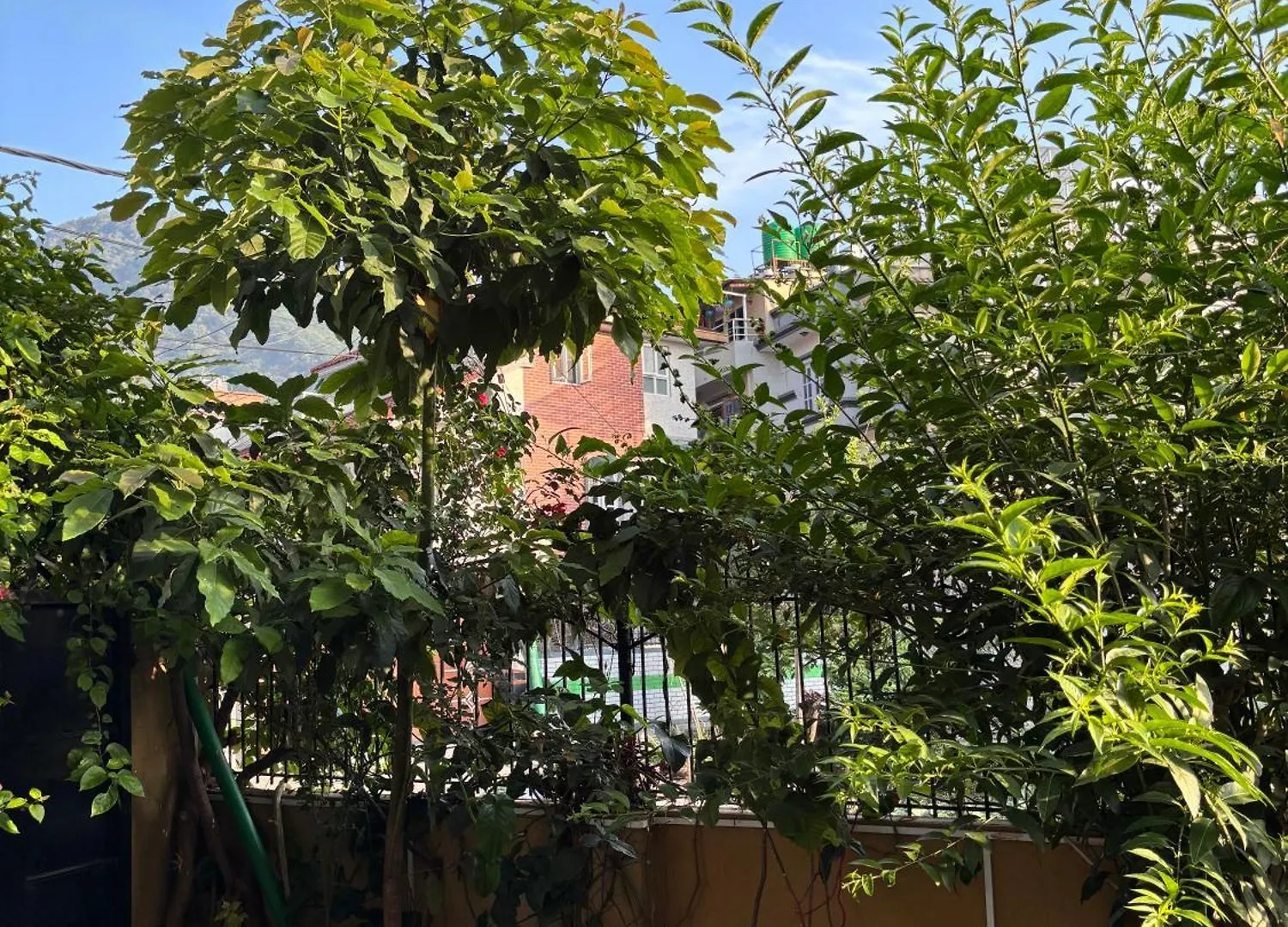 Mums Homestay & Studio Apartments Kathmandu